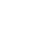 Eggs Media Web Design Company Toronto ON